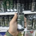 هورمون آکسین
