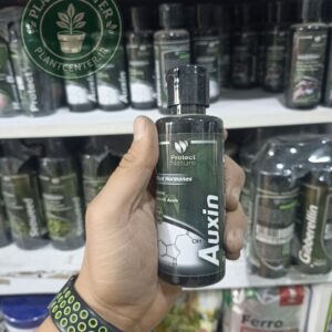 هورمون آکسین