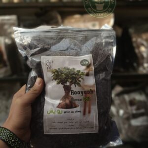 خاک مخصوص بنسای