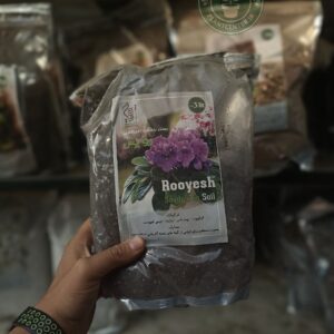 خاک مخصوص بنفشه آفریقایی