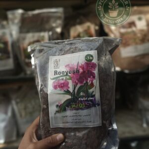 بستر کشت مخصوص ارکیده