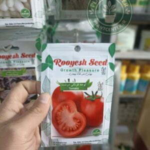 بذر گوجه فرنگی