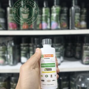 کنفیدور شربتی