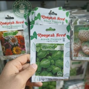 بذر ریحان ایتالیایی