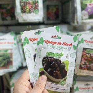 بذر گوجه گیلاسی مشکی