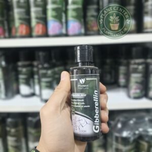 هورمون گیاهی جیبرلین
